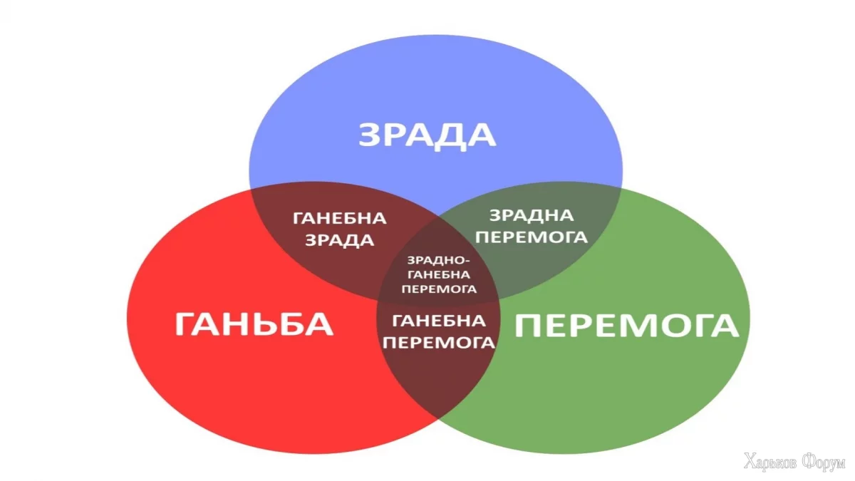 d54e.webp
