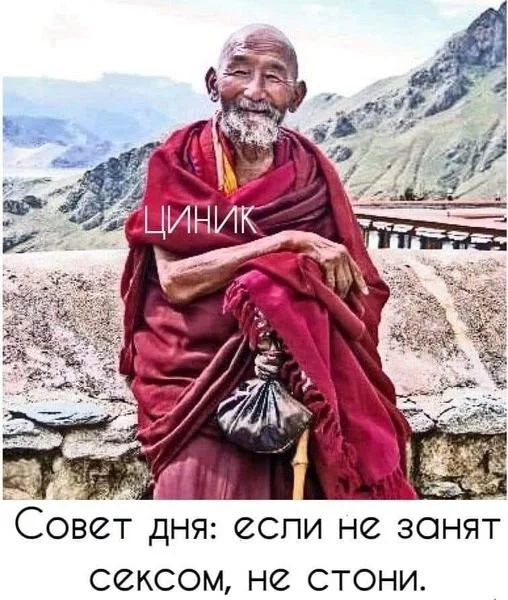 d5563552a49e6bec4595b79.webp