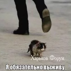 d55988d47950ca9e26.webp