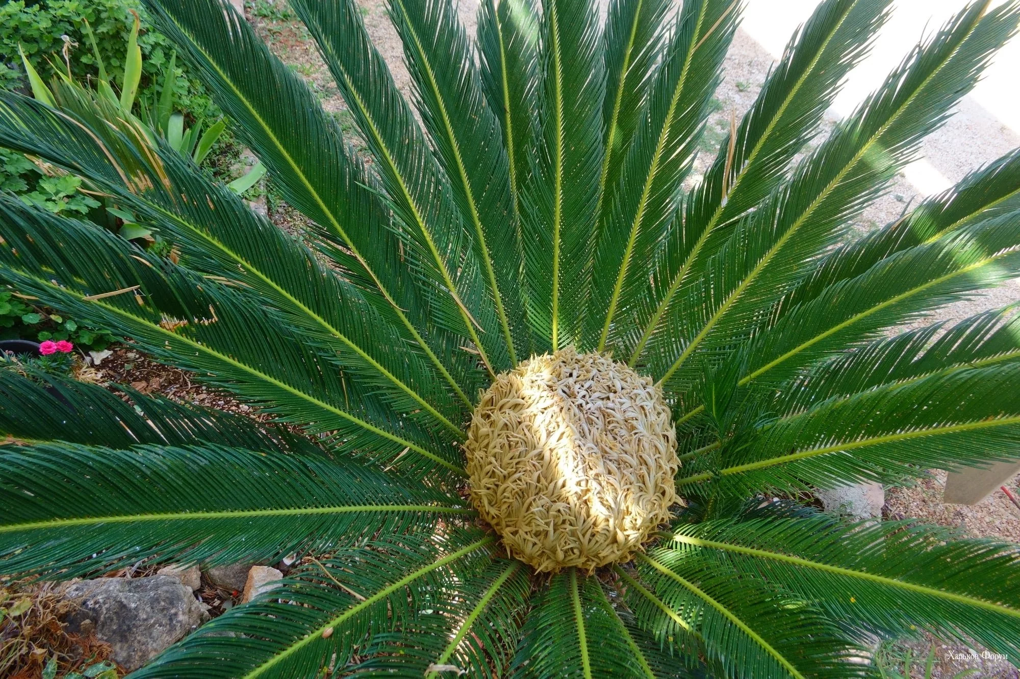 d55f9fe11d175225.webp