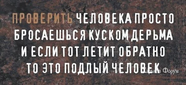 d56de9a7a043c8bcb8110.webp