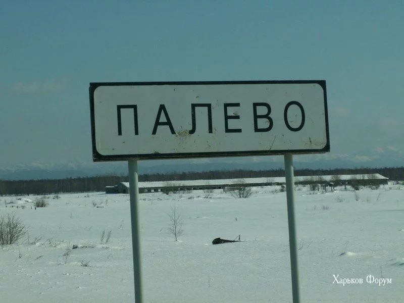 d57174d8e3fdb616.webp
