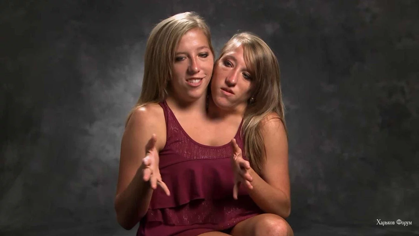 d5777b466d7bc7c0.webp