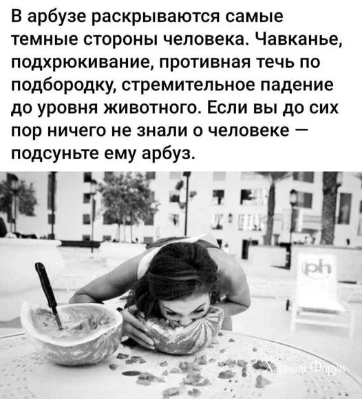 d57a2e080a8ee61c6d20b.webp