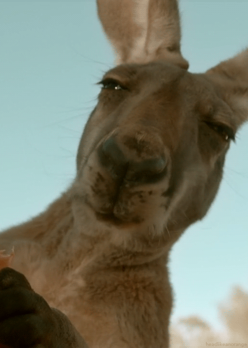 d57dc8c0d13424a6bbe9.gif