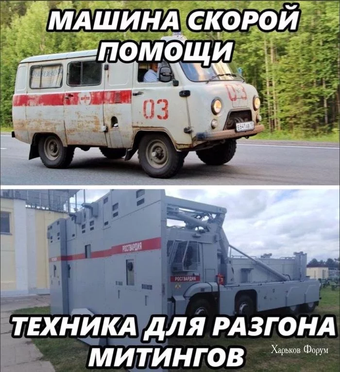 d581394048cdaffc.webp