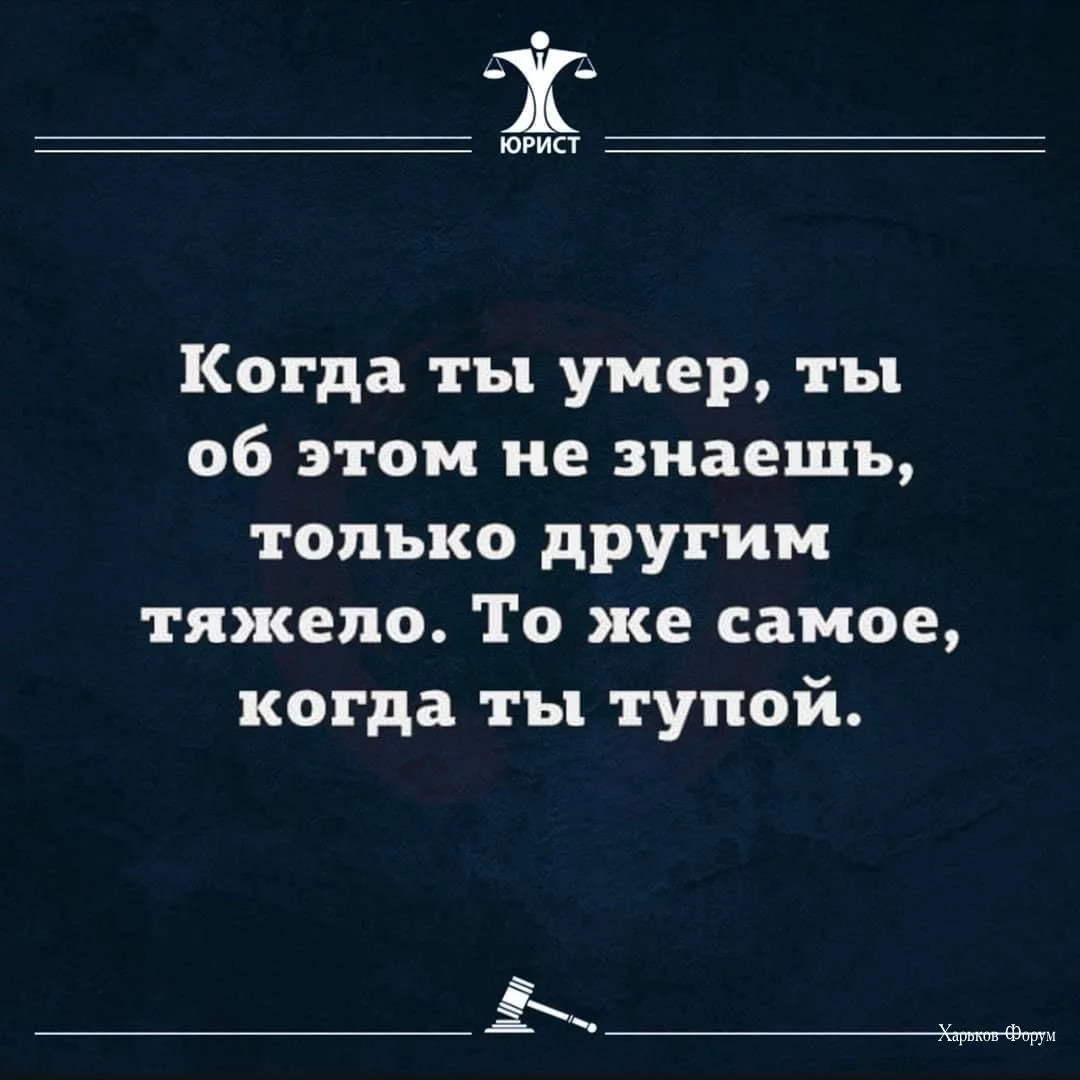 d5881ab99b23c56eb.webp