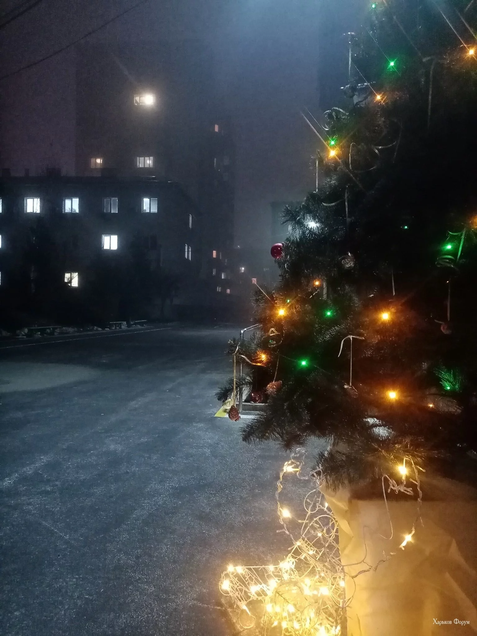 d58950398cf02947727f65.webp