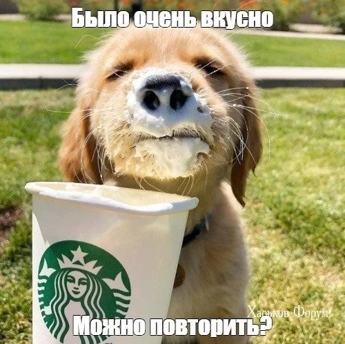 d5aabc4a80be5cb945d35.webp