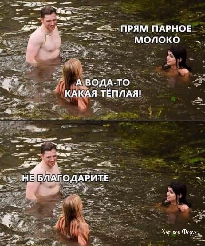 d5ab39981d0600adc3.webp