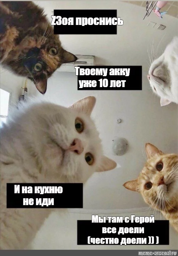 d5b10691f057a1380aabefc755f1f97d.webp