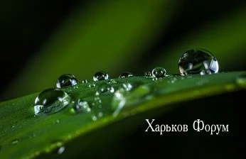 d5b52485ad0febc9.webp
