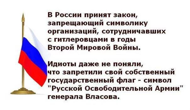 d5bbfg.webp