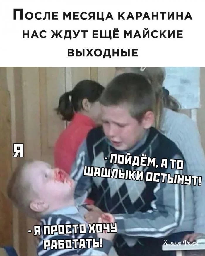 d5cbb5cadb86dc2a6c.webp