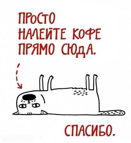 d5cfhb.webp
