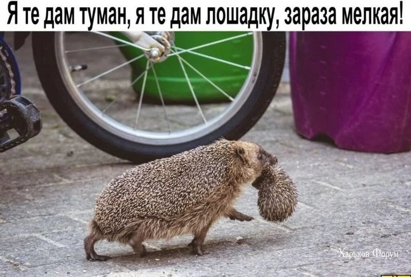 d5e66eddc67c101641cc.webp
