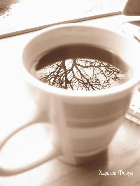 d5e69e94490b170461.webp