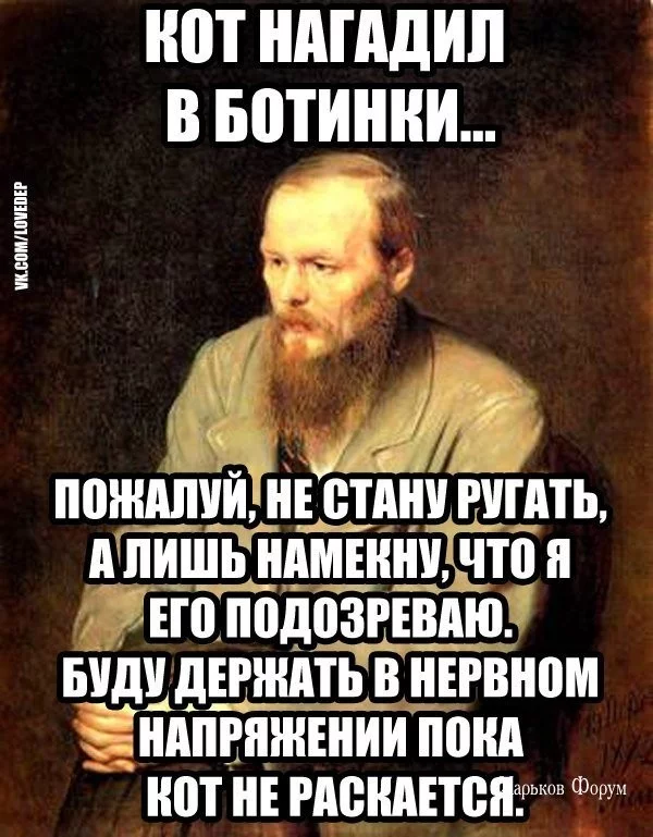 d5ebbf7b85dd8e31.webp