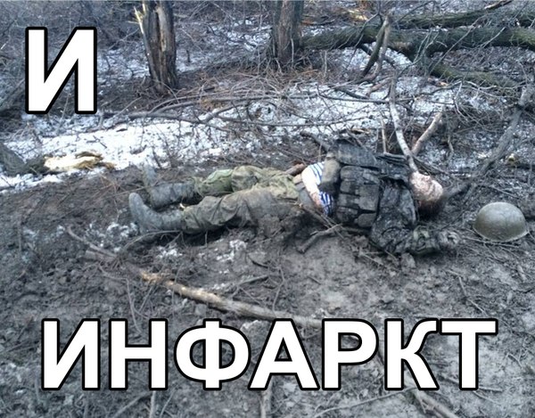 d5GXNaF4pDc.jpg
