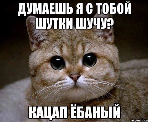 d5jdca.webp
