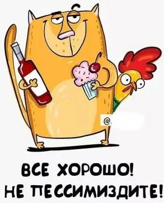 d5jjhe.webp