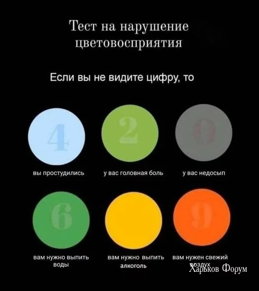 d61ca6d638cf915fb0e0.webp