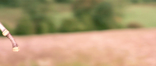 d61d16725bc79846db24b1e0c4f49f2a240b0b49.gif