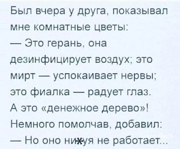 d62acce1e2ee3cf1.webp