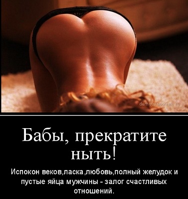 d6354d6f3a2d64842caa153ea245e667.jpg