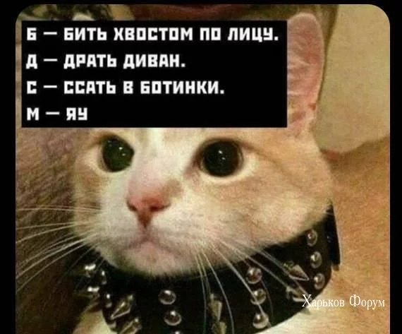 d63a5bf0cb2c4208a0a90a8f.webp