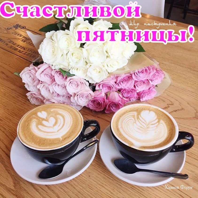 d64b0a9832dd7b37225b2.jpg