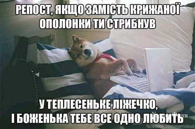 d64edb1cb46ded61711.webp