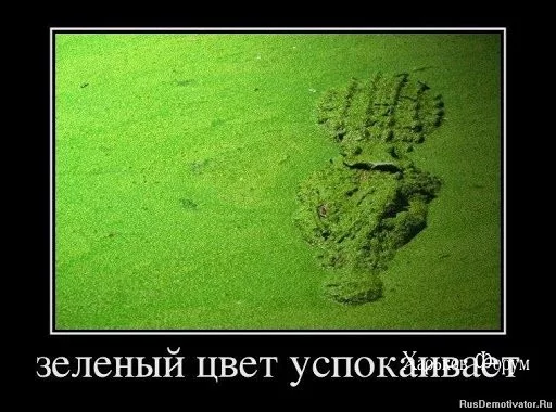 d6558ab395f8c5e2c.webp