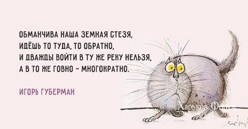 d658a7a96f5331b62a32b.webp