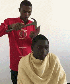 d66b5a4b2289ccee585ad.gif