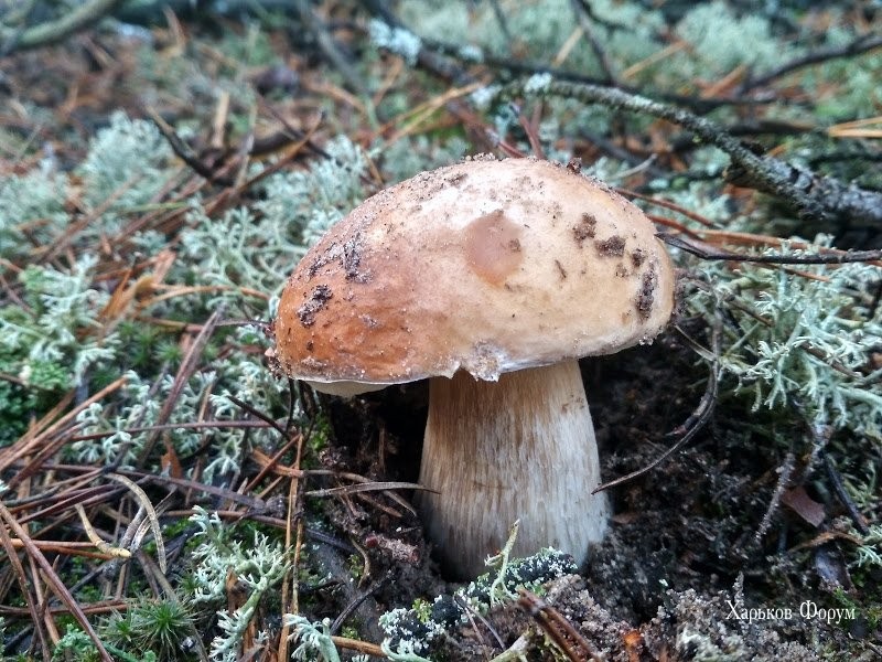 d67840d50412f2e980c15.jpg
