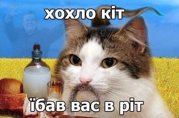 d69be70d75d7d8f95186964a925b900a.webp