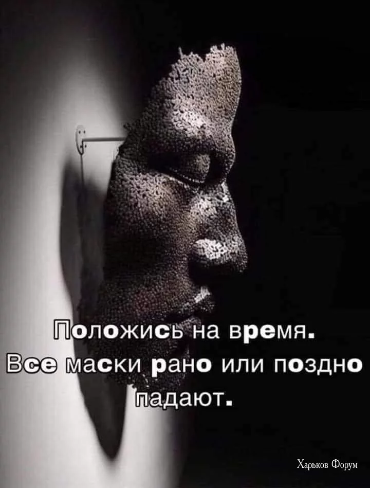 d6a0cdb4a88c12c8.webp