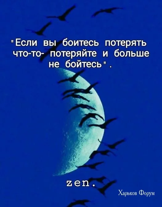 d6c94872415437a85.webp