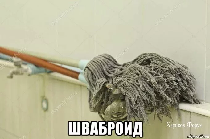 d6d4acce14f8c9ae4709e0.webp