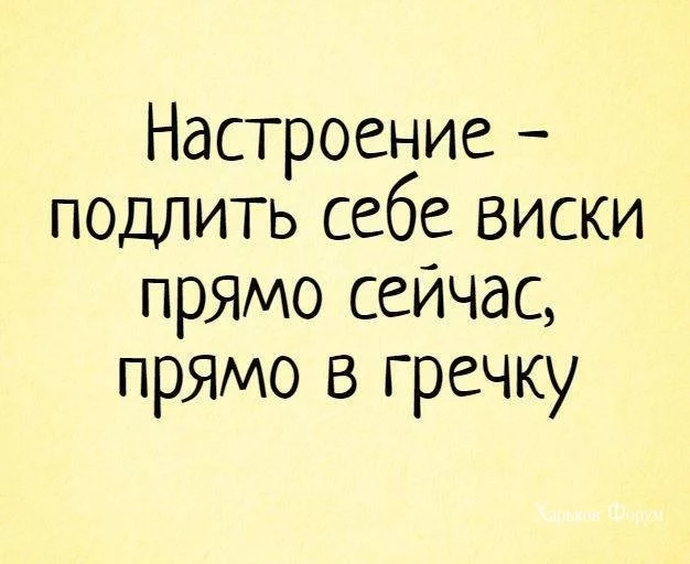 d6d59dde21794a657b301.webp