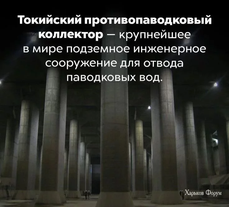 d6df4eea40580d1dd.webp