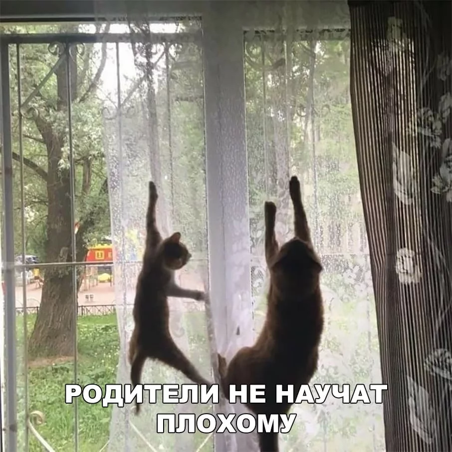 d6dgdf.webp