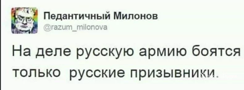 d6e5da317db61016.webp