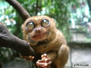 d6f0f9746c62ca8335c32.gif