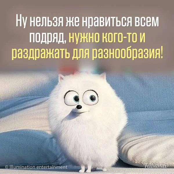 d6fdfg.webp