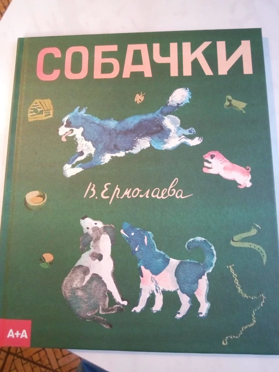 d6fdhg.webp