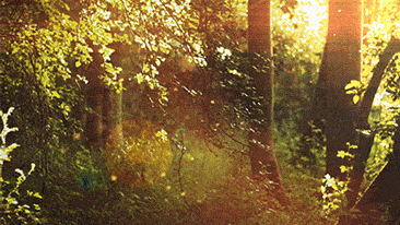 d6hccd.gif