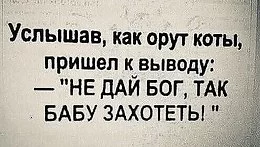d6hjbf.webp