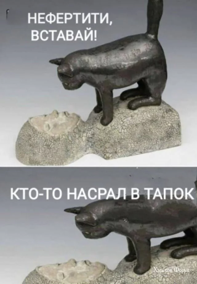 d70a06ee118873b91b1a.webp